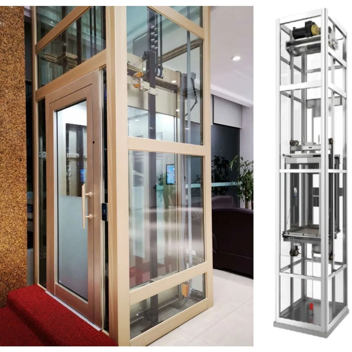 Customized Design Shaftless Home Elevator Indoor Outdoor House Lifts Traction Drive Type