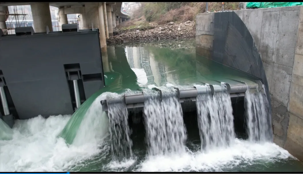 Hydraulic Elevator Dam Project 5