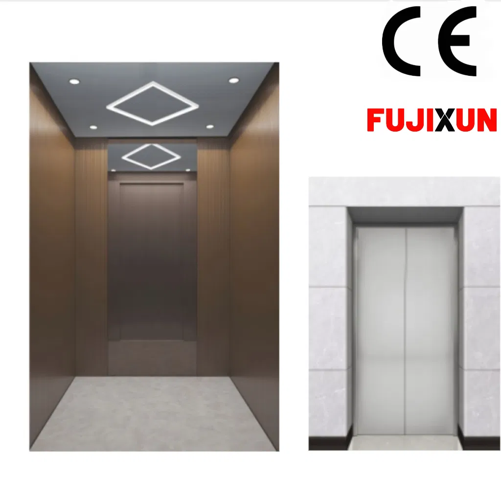 Fujixun 15 Years of Manufacturing Experience Home Lift Passenger Elevators