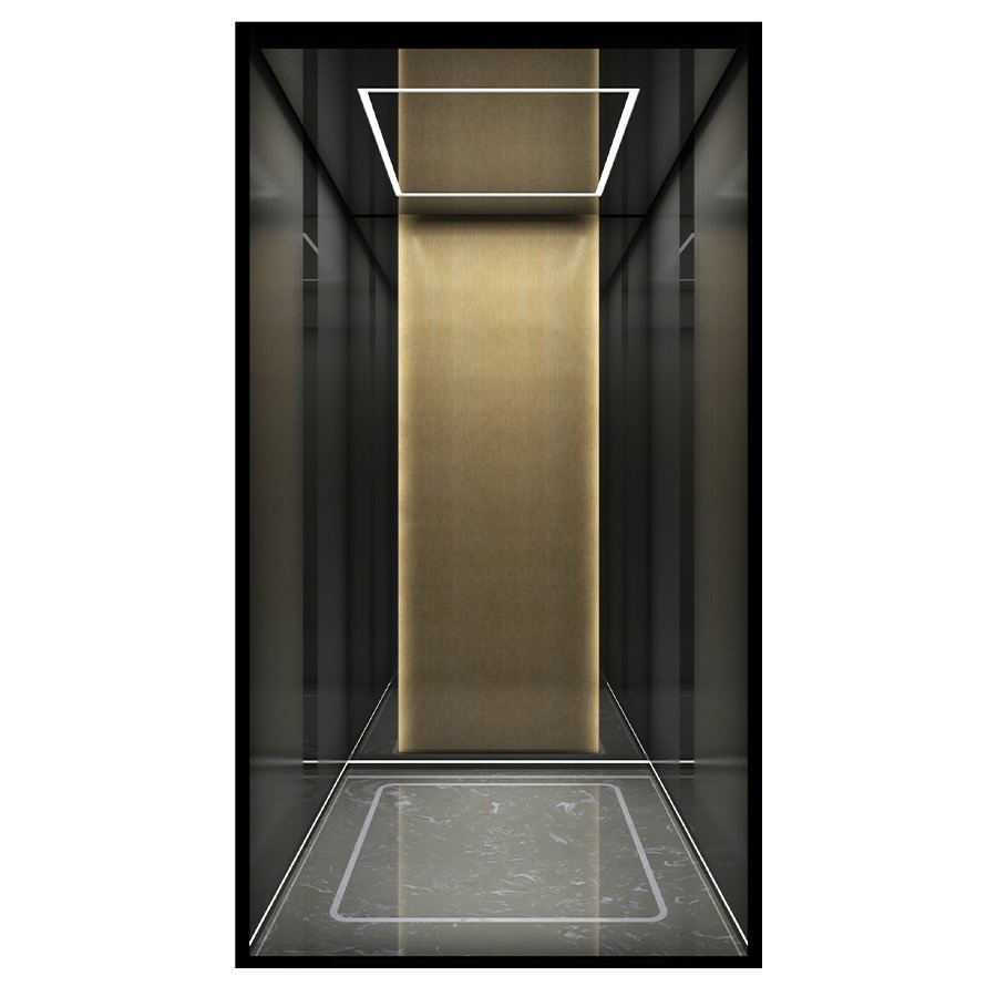 1-Year Warranty Affordable Compact Home Villa Elevator - Machine-Room-Less (MRL) for Space Saving