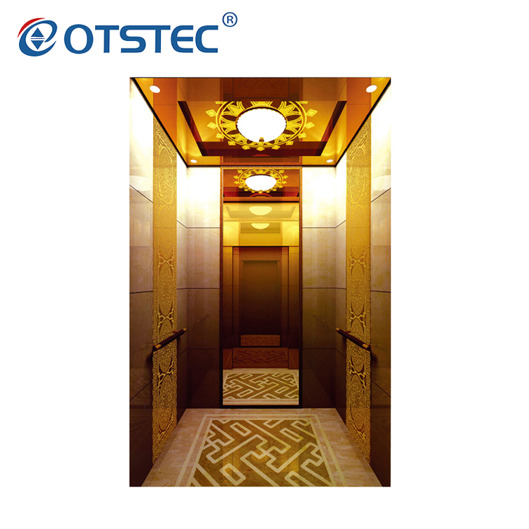 Zhejiang Otstec Elevator Factory Direct Sale Good Service Residential Elevator