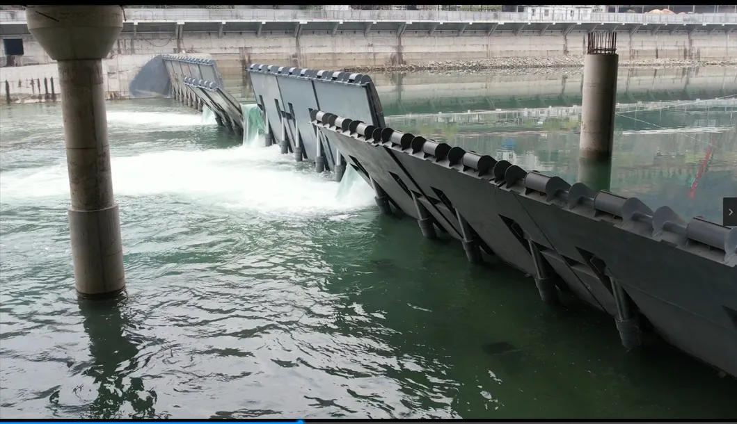 Hydraulic Elevator Dam Project 8