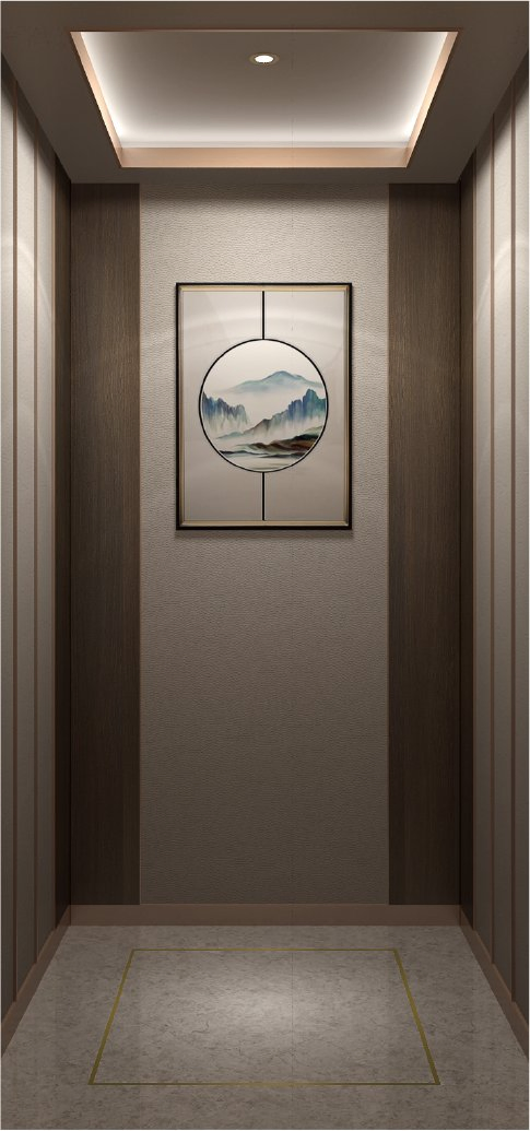 6 People Retro Design Passenger Elevator with Professional Service
