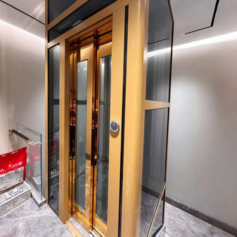 Small Home Lift Traction Home Elevator Price for Residential Villa House