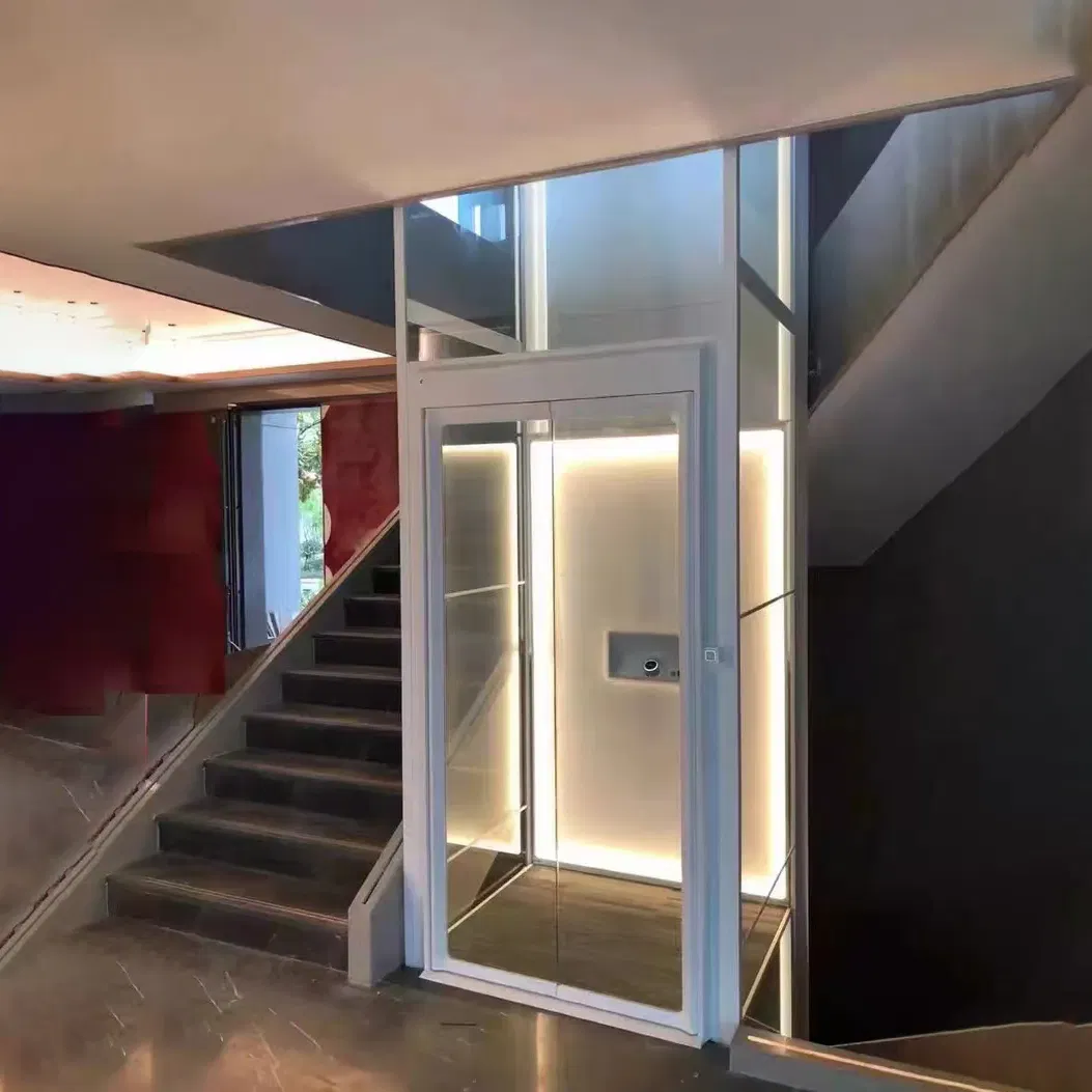 Home Elevator Residential Lift Villa Elevator Domestic with ISO9001