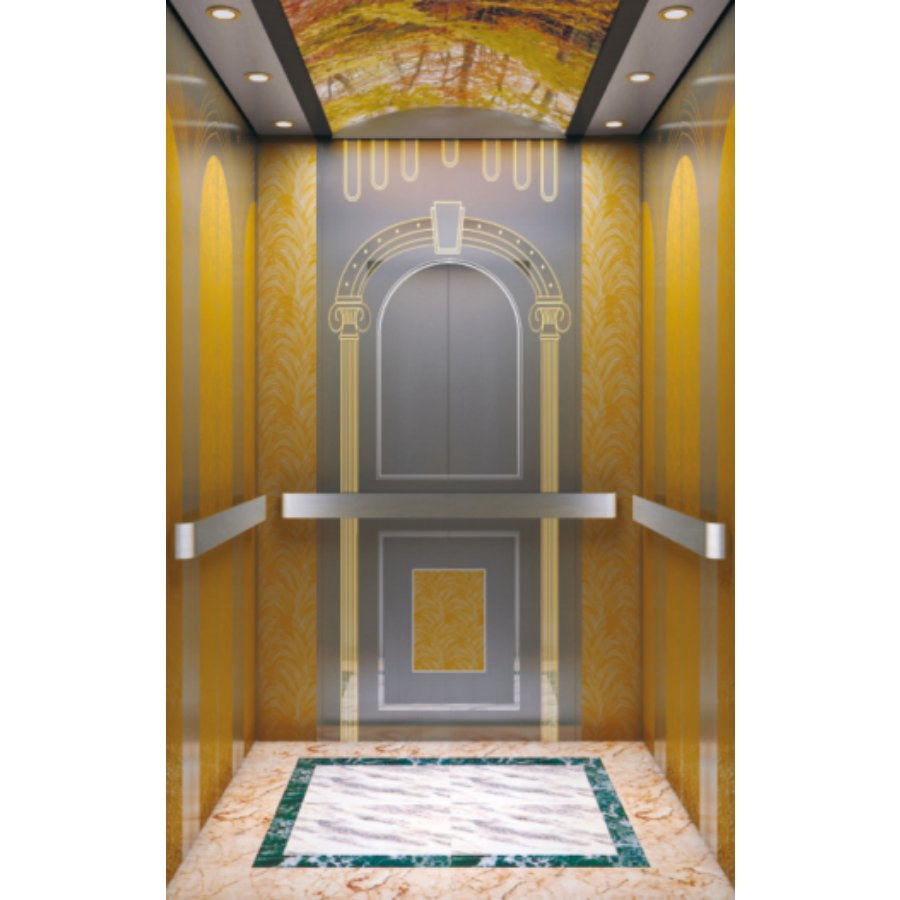 V FUJI Manufacturer Machine Roomless Customized Home Lift Passenger Elevator