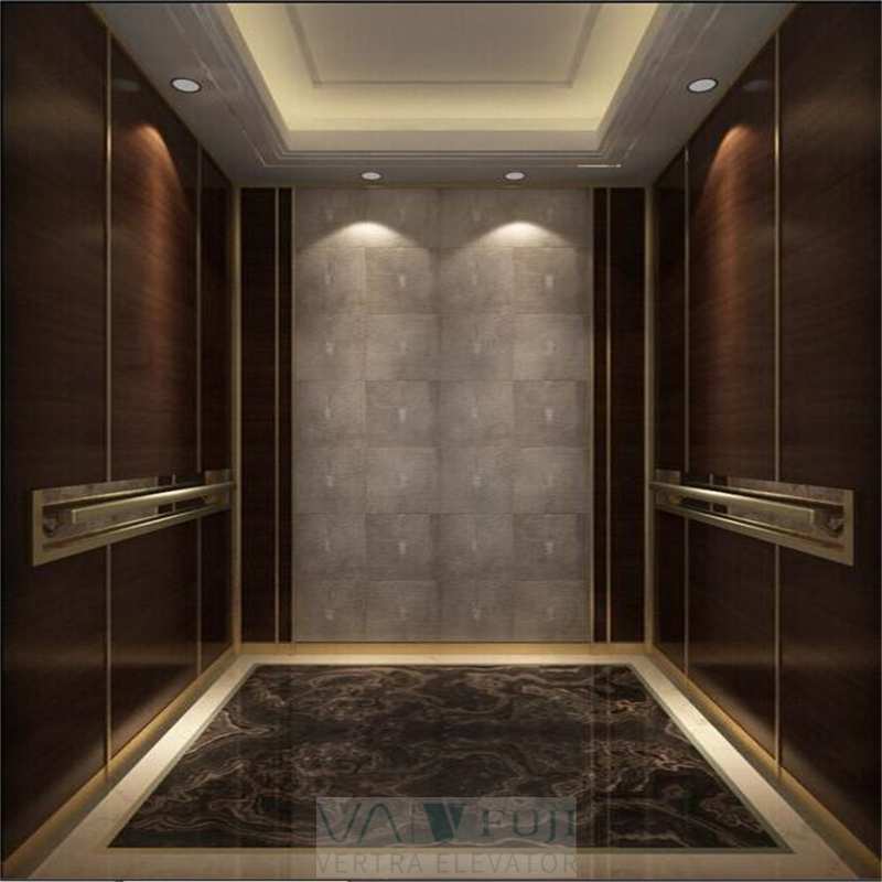 V FUJI Noiseless Traction Elevator Residential House Lift Electric Luxury Villas Elevator