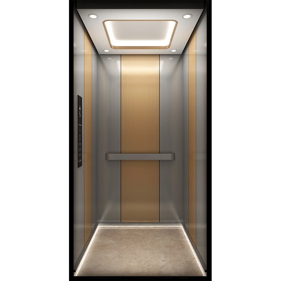 1-Year Warranty Affordable Compact Home Villa Elevator - Machine-Room-Less (MRL) for Space Saving