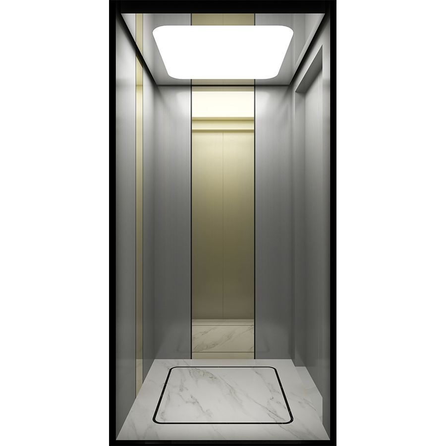 1-Year Warranty Affordable Compact Home Villa Elevator - Machine-Room-Less (MRL) for Space Saving