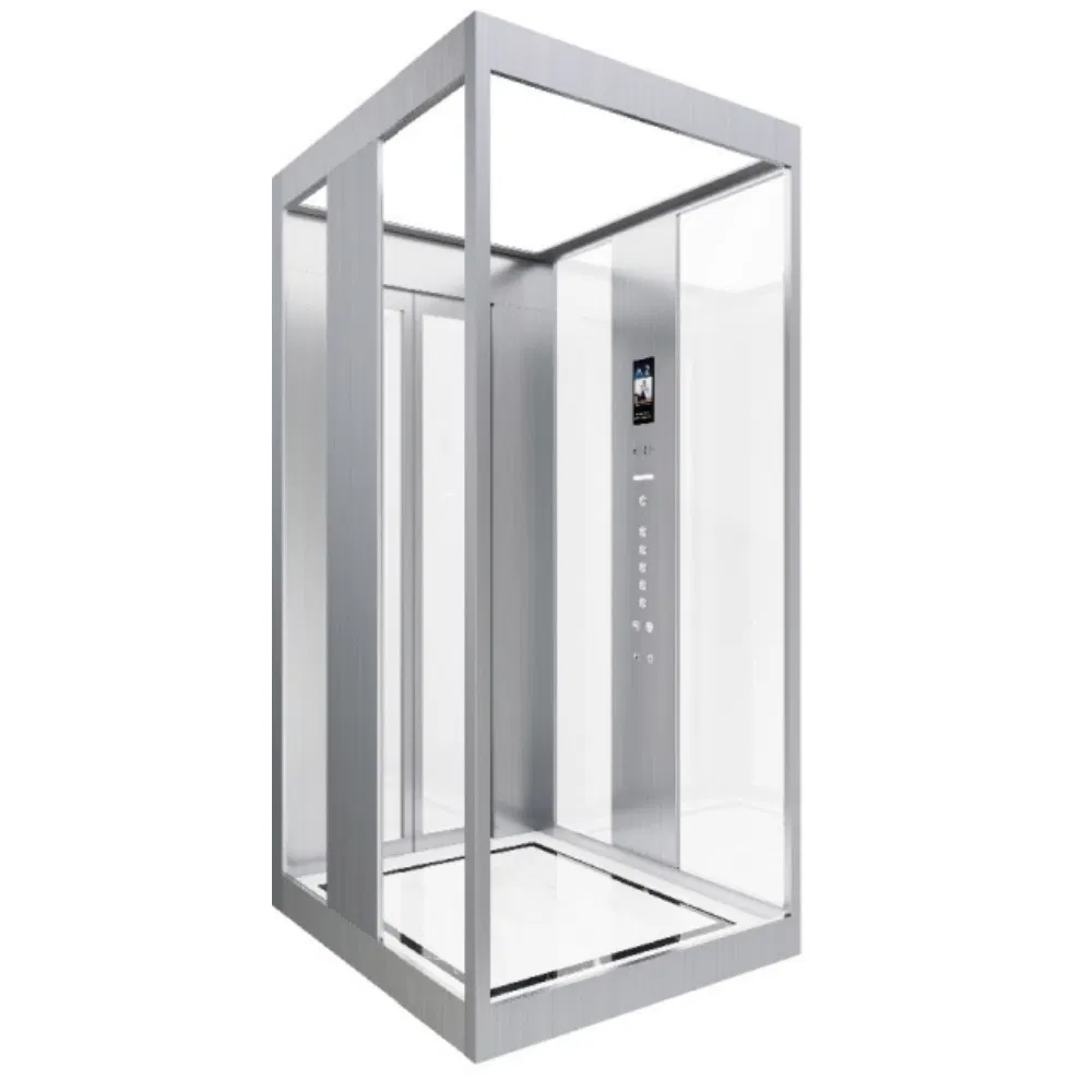 Custom Indoor Residential Lift Elevator 5 Persons Traction Driven Elevator Home Elevator