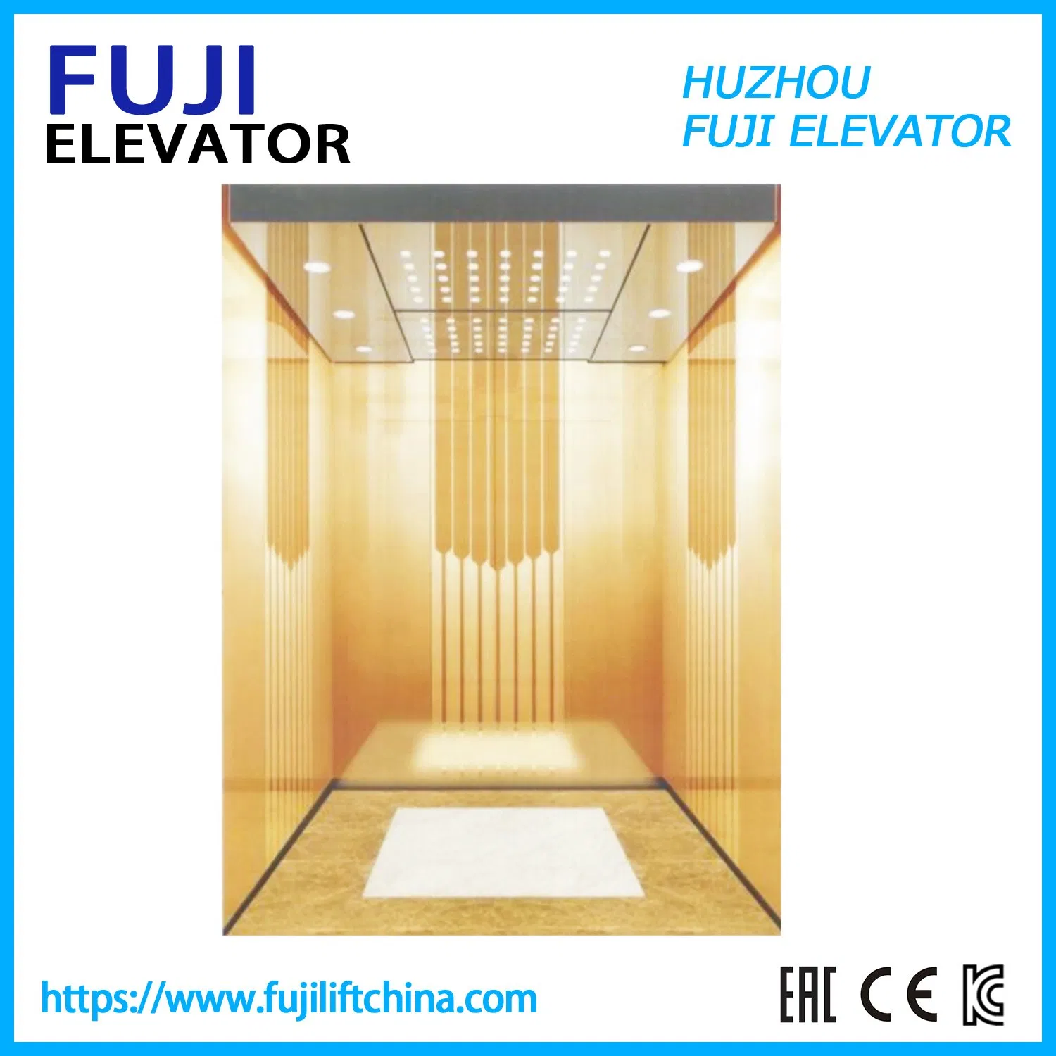 General Passenger Elevator with Professional Service for Modern Building with Manufacture