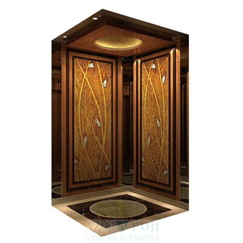 V FUJI Noiseless Traction Elevator Residential House Lift Electric Luxury Villas Elevator