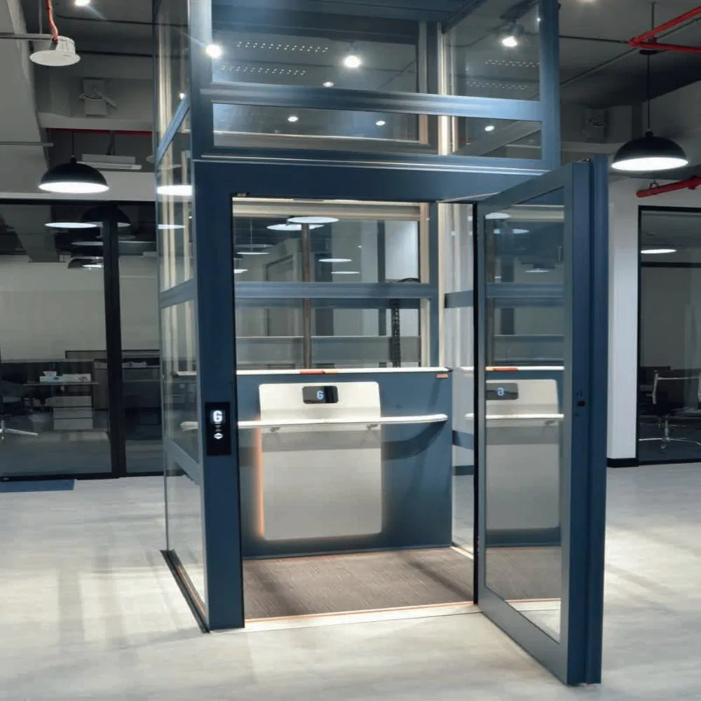 Small Shaftless Residential Elevators House Villa Lift Passenger Home Elevator Quiet Operation