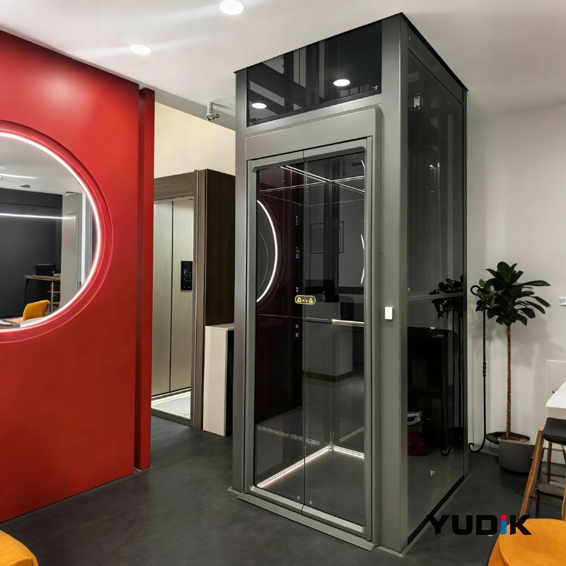 Reliable Residential Elevator for Villa with Annual Maintenance Service