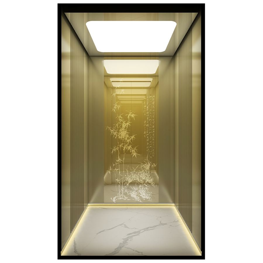 1m² Ultra-Compact Home Loft Elevator for Small Hoistway - Machine Room-Less (MRL) Design