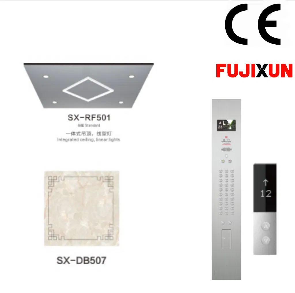 Fujixun 15 Years of Manufacturing Experience Home Lift Passenger Elevators