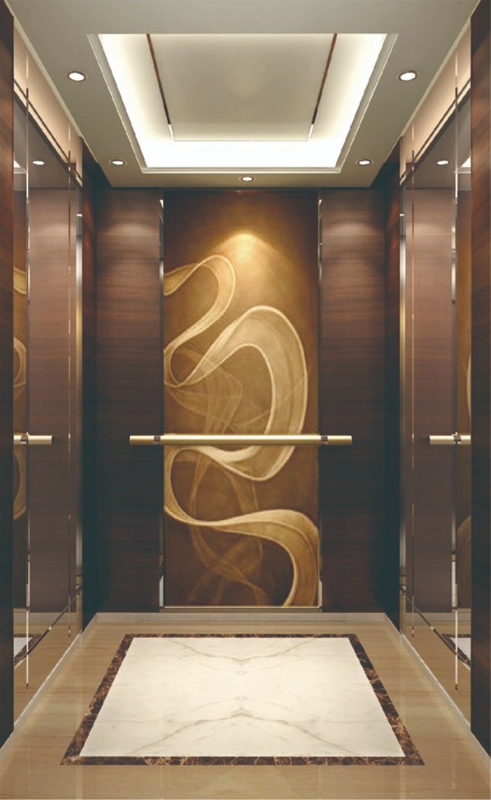 Luxury Passenger Elevator Villa Lifts Safety Service with Excellent Service