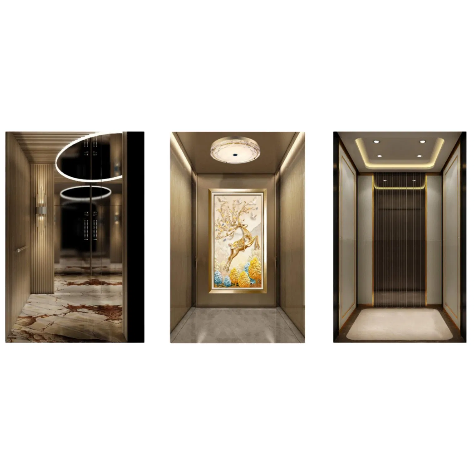 Gearless Residential Villa Panoramic Sightseeing Observation Freight Car Goods Service Cargo Home Lift Passenger Elevator