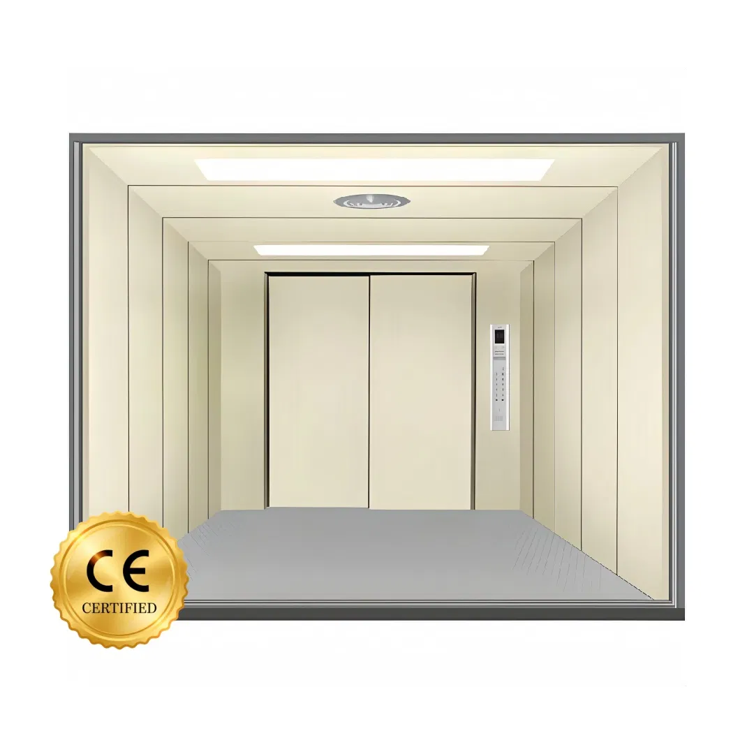 Fujivista CE Certificate 3000kg Cargo Lift Heavy Duty Freight Elevator for Factory Loading