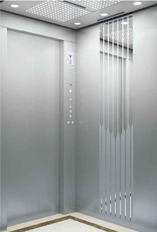 Passenger Residential Mrl with Traction Machine Elevator