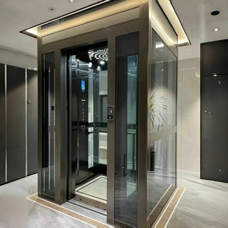 Small Home Lift Traction Home Elevator Price for Residential Villa House