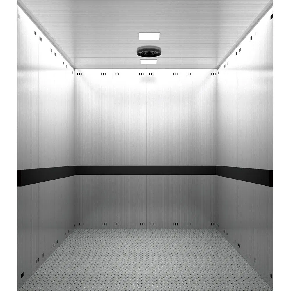 China Freight Car Goods Service Cargo Home Lift Passenger Elevator