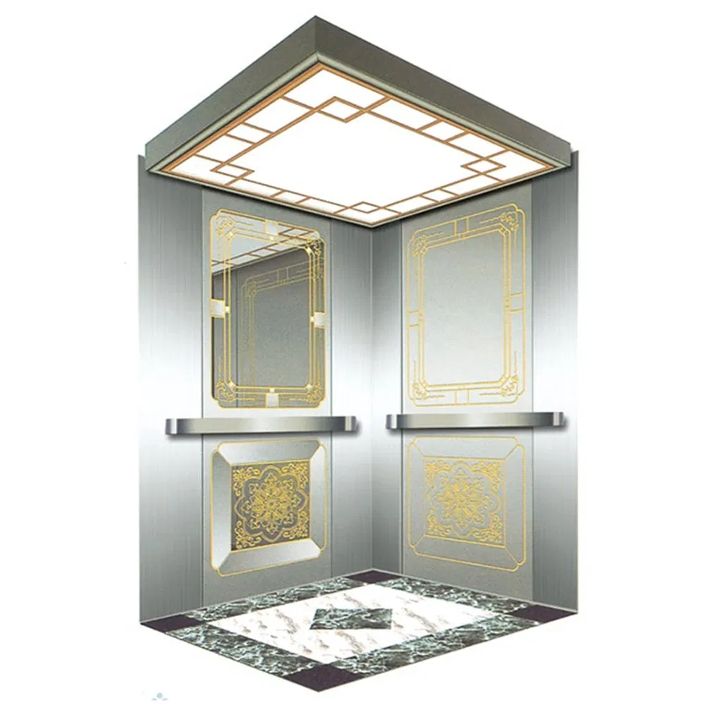 Passenger Elevator with Professional Service with Simple Style