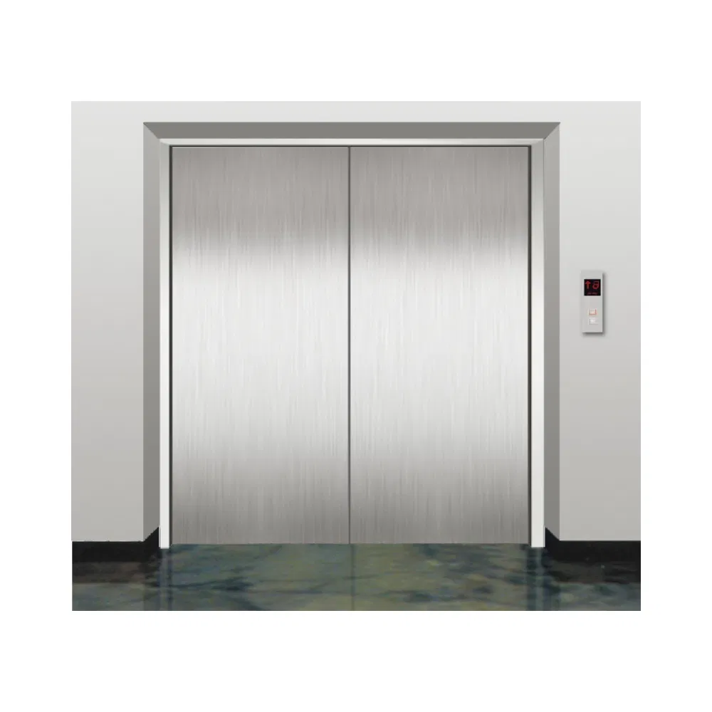 Fujivista 1000kg Cargo Lift Heavy Duty Freight Elevator for Warehouse and Industrial Building, Mrl Goods Lift with CE