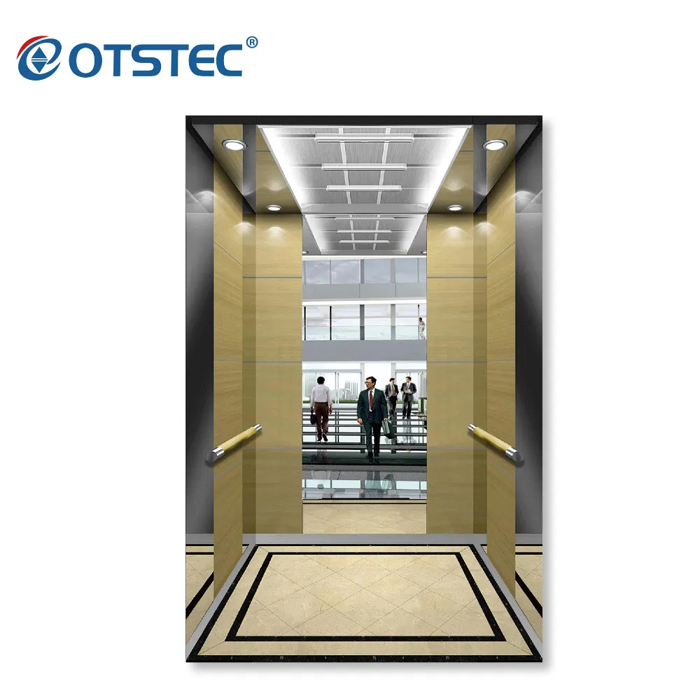 Passenger Elevator with Gearless Traction Machine, Support Professional Sevice