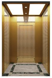 CE ISO Approved 300-350kg Affordable Shaftless Home Hydraulic Lift Elevator