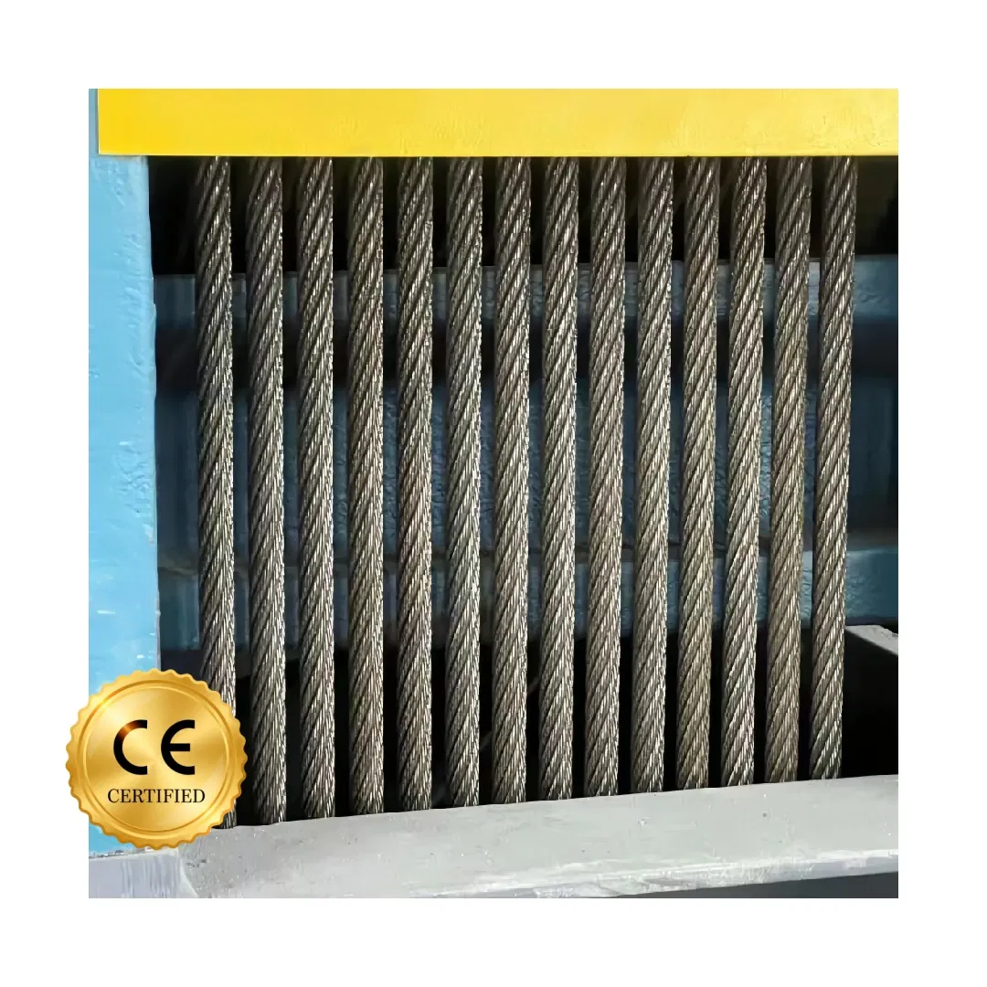 Fujivista Car Lift Automobile Elevator Heavy Duty Cargo Elevator for Garage