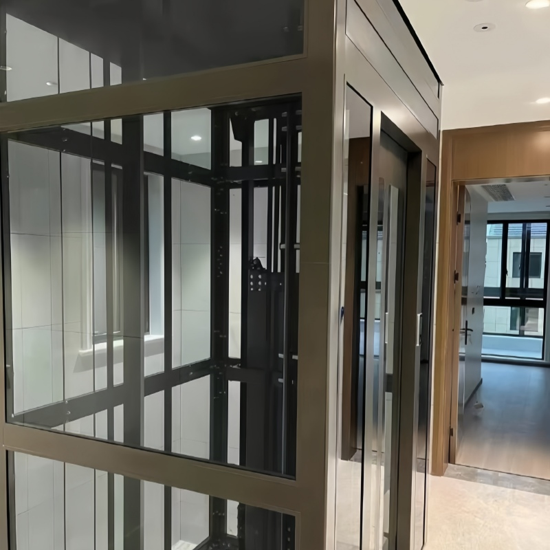 Small Home Lift Traction Home Elevator Price for Residential Villa House