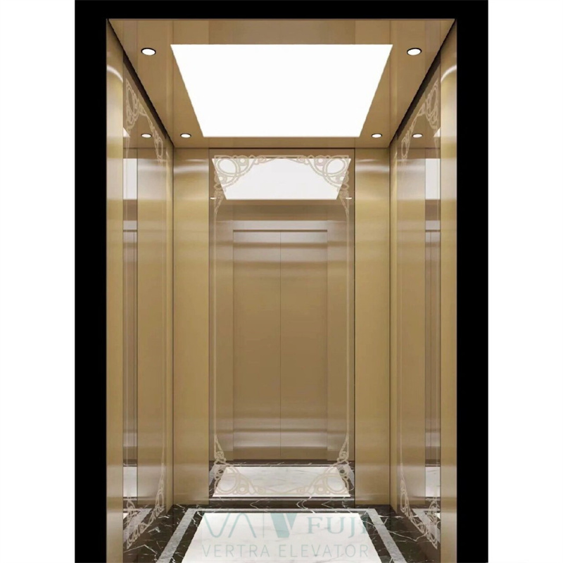 V FUJI Noiseless Traction Elevator Residential House Lift Electric Luxury Villas Elevator