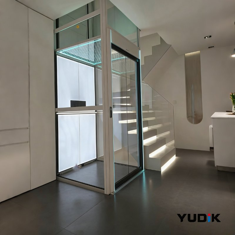 Reliable Residential Elevator for Villa with Annual Maintenance Service