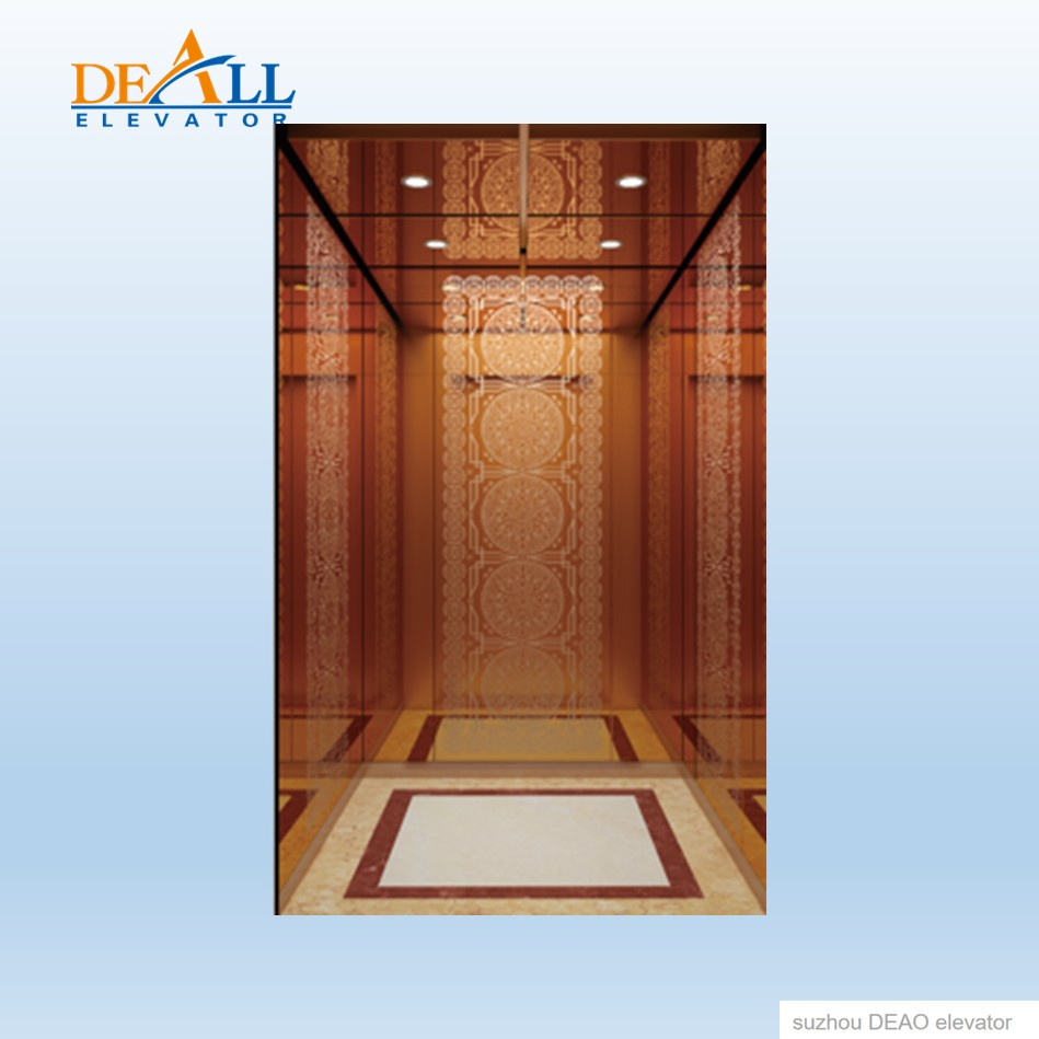 Traction Type/Screw Type/Hydraulic Type Collective Selective Control Deao Villa Elevator