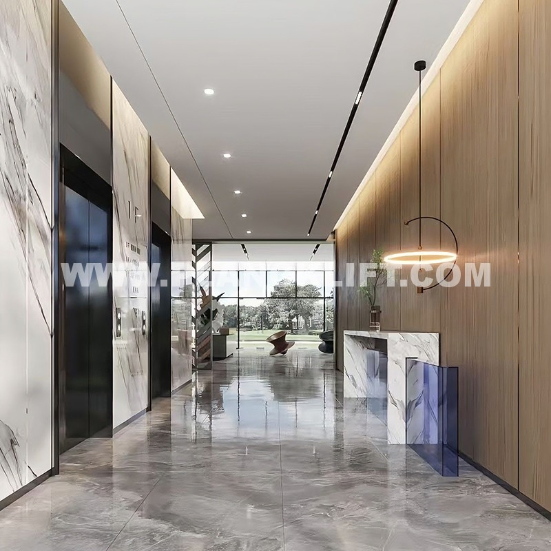 Planck Elevator Premium OEM ODM Manufacturer of Manufacturing Lifts for Passenger Home House Villa Residential Domestic Office Hotel Hospital Mall Freight Cargo