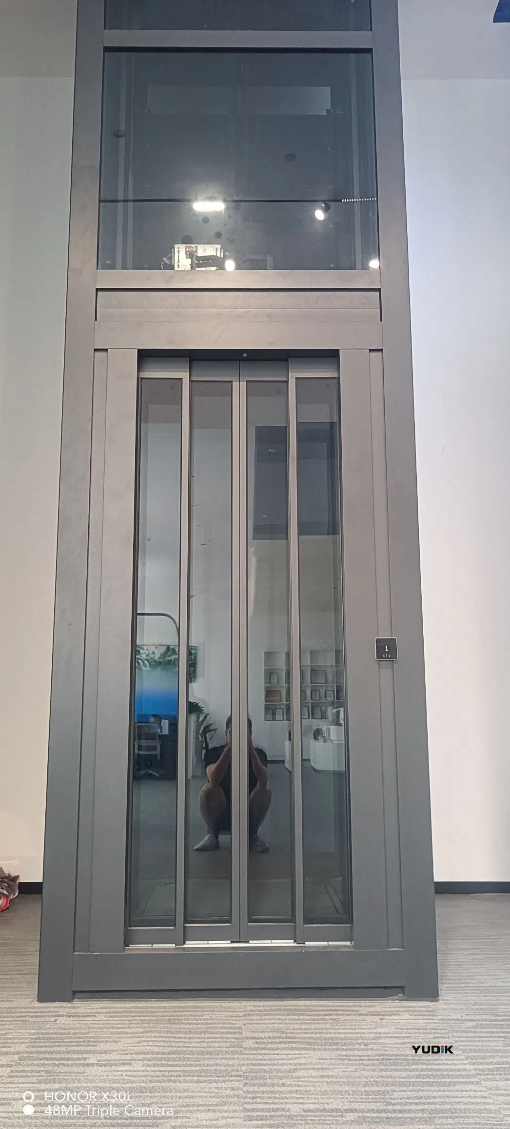 Reliable Residential Elevator for Villa with Annual Maintenance Service