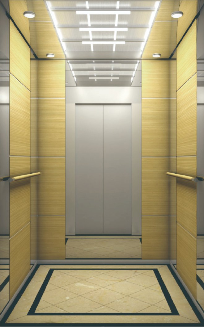 Luxury Passenger Elevator Villa Lifts Safety Service with Excellent Service