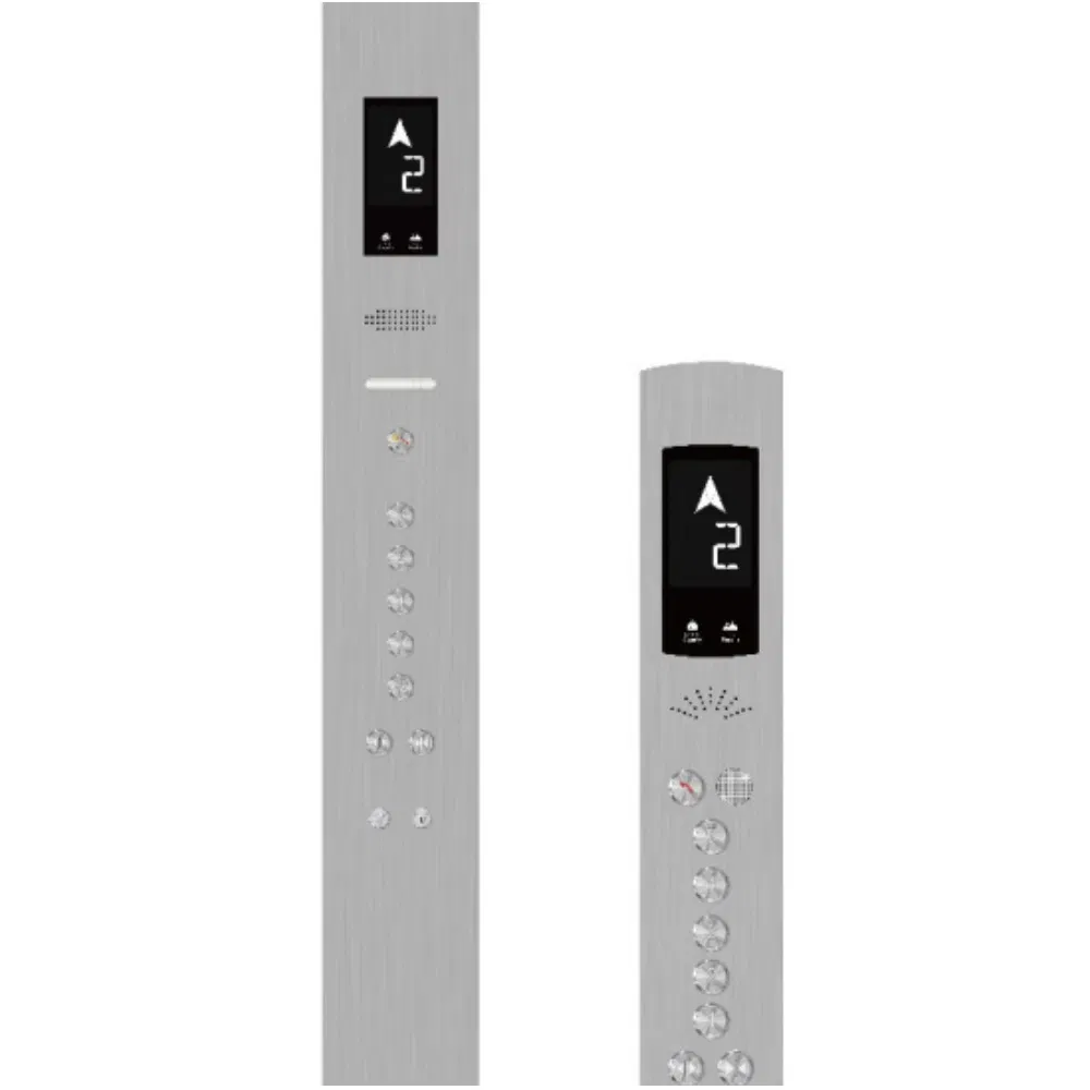 Custom Indoor Residential Lift Elevator 5 Persons Traction Driven Elevator Home Elevator