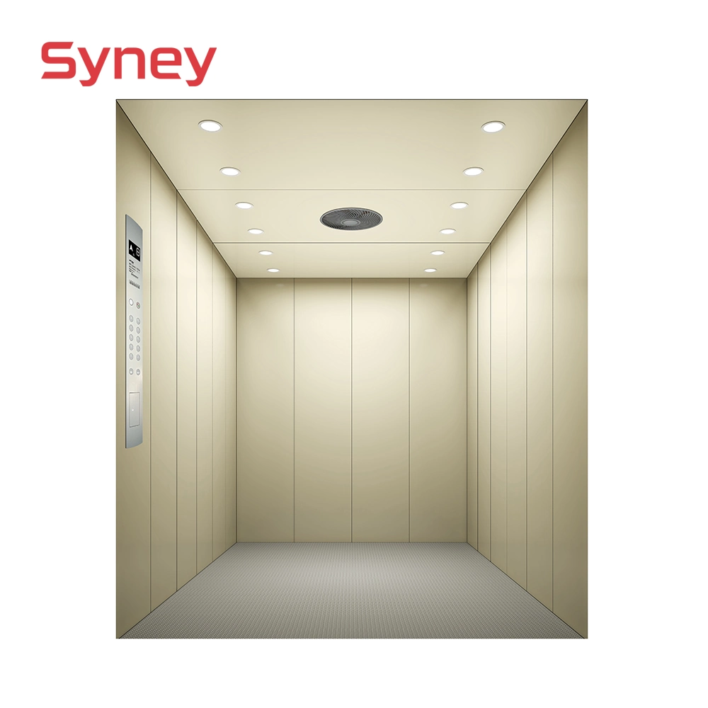 China Passenger Panoramic Glass Residential Villa Home Hospital Cargo Auto Car Service Freight Goods Elevator Lift