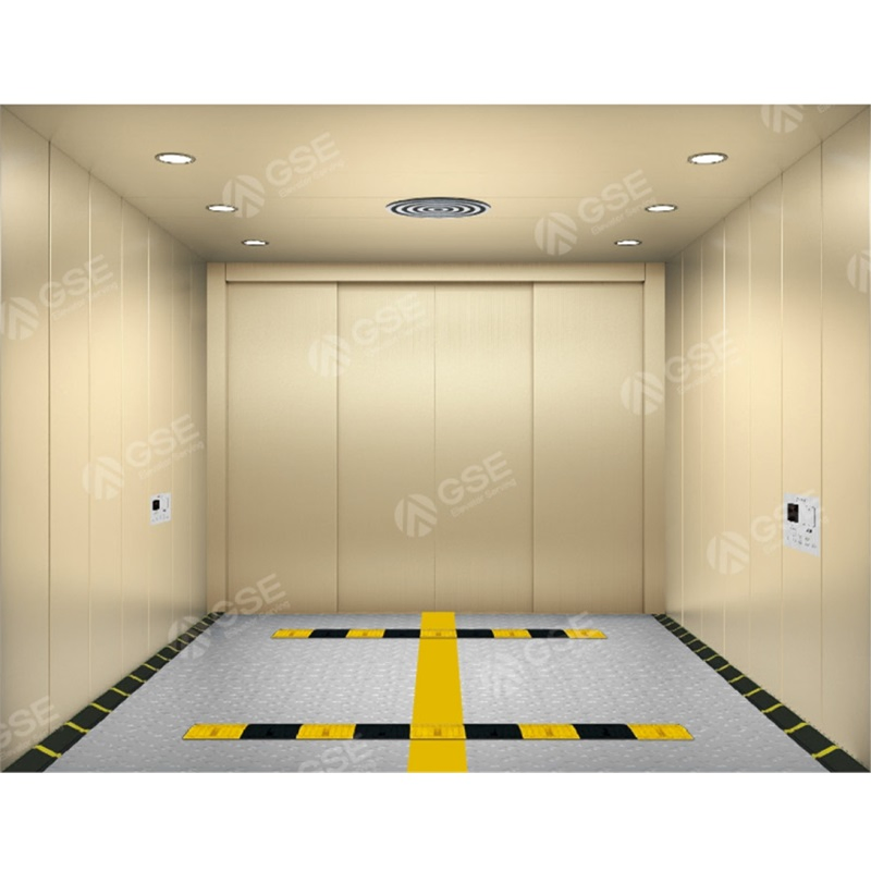 CE Approve Eac Atex T4 T3 Approve Explosion-Proof Elevator