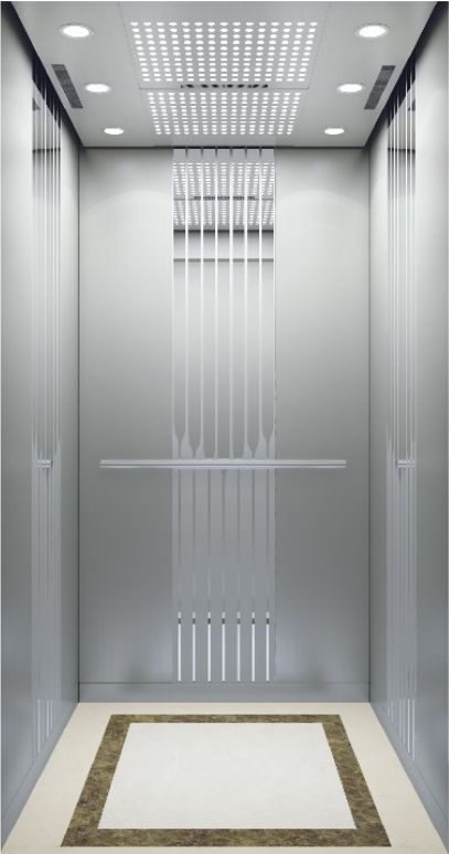 Passenger Residential Mrl with Traction Machine Elevator