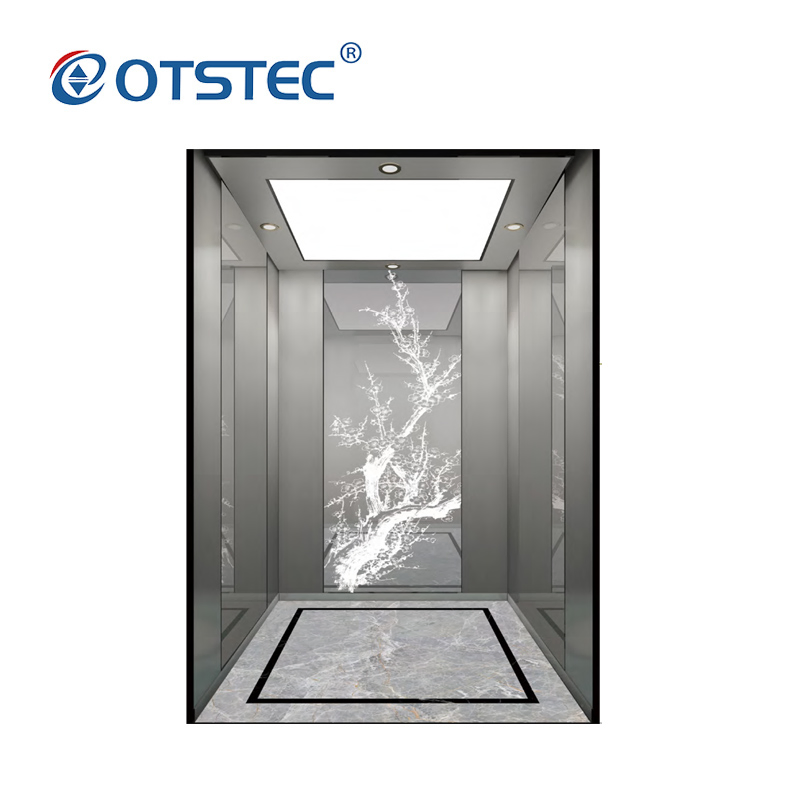 Zhejiang Otstec Elevator Factory Direct Sale Good Service Residential Elevator