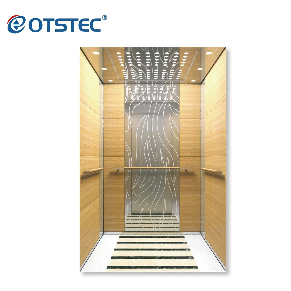 Passenger Elevator with Gearless Traction Machine, Support Professional Sevice