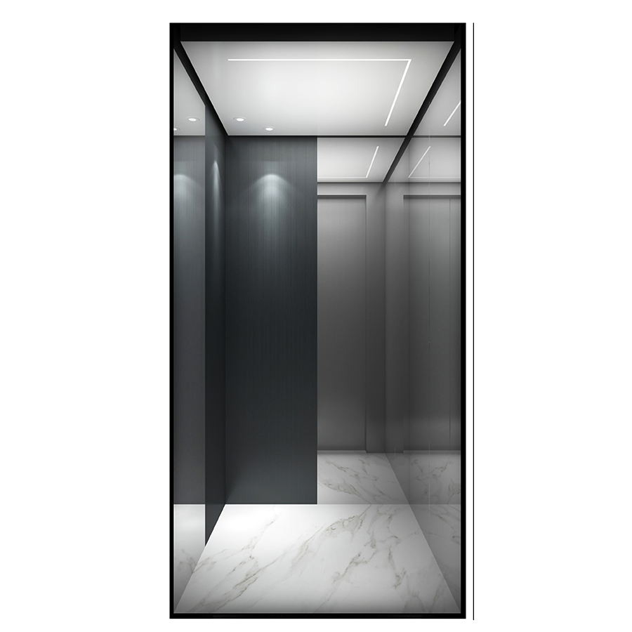 1-Year Warranty Affordable Compact Home Villa Elevator - Machine-Room-Less (MRL) for Space Saving