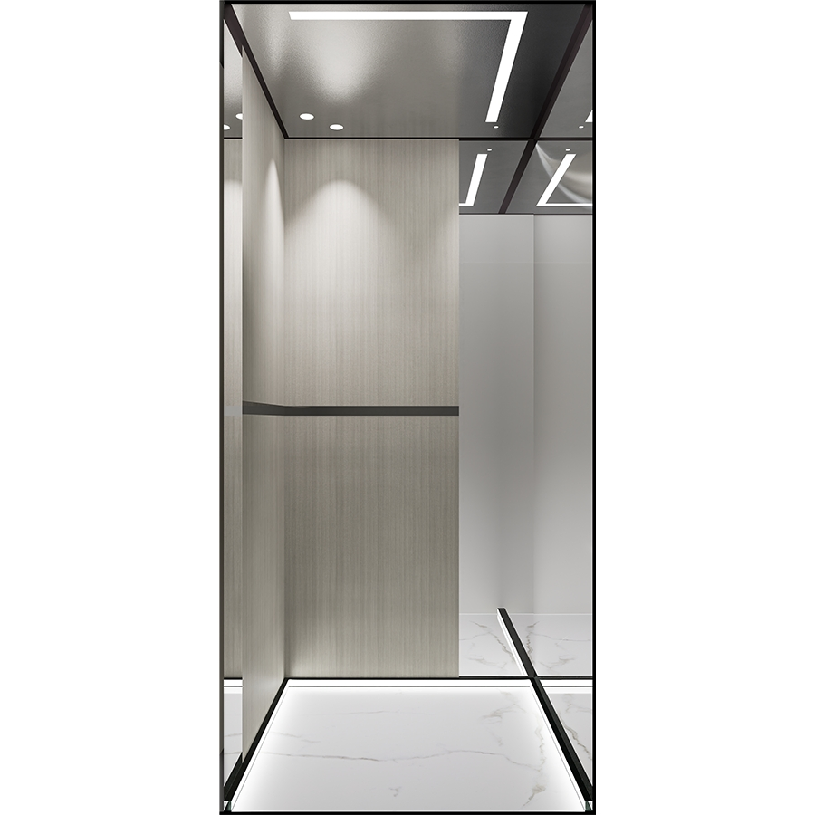 Price of Steel Belt Traction Machine Room-Less (MRL) Small Home Villa Elevator