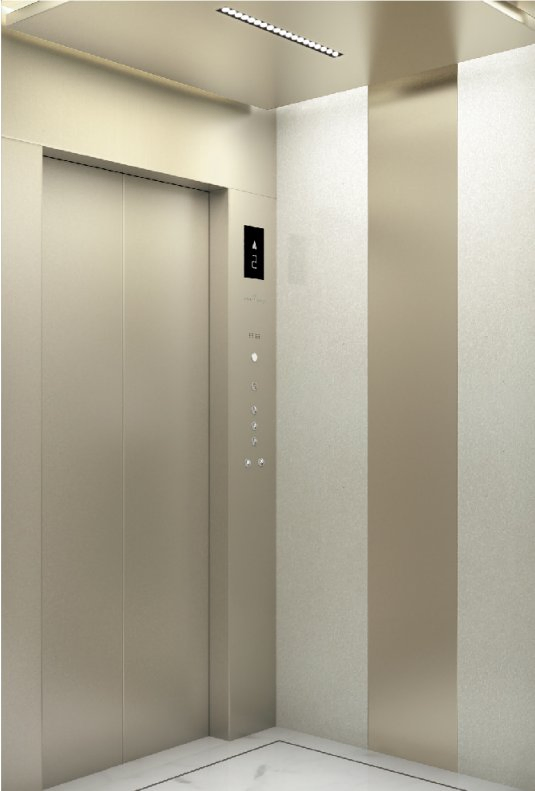 Passenger Residential Mrl with Traction Machine Elevator