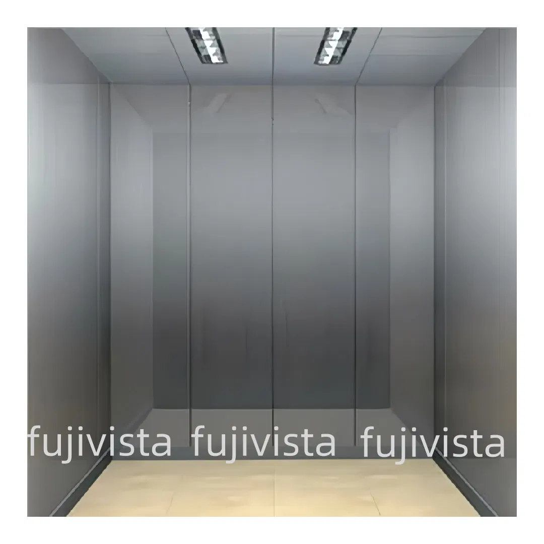 Fujivista Industrial Elevator Cargo Lift with Mrl Technology for Factory and Logistics