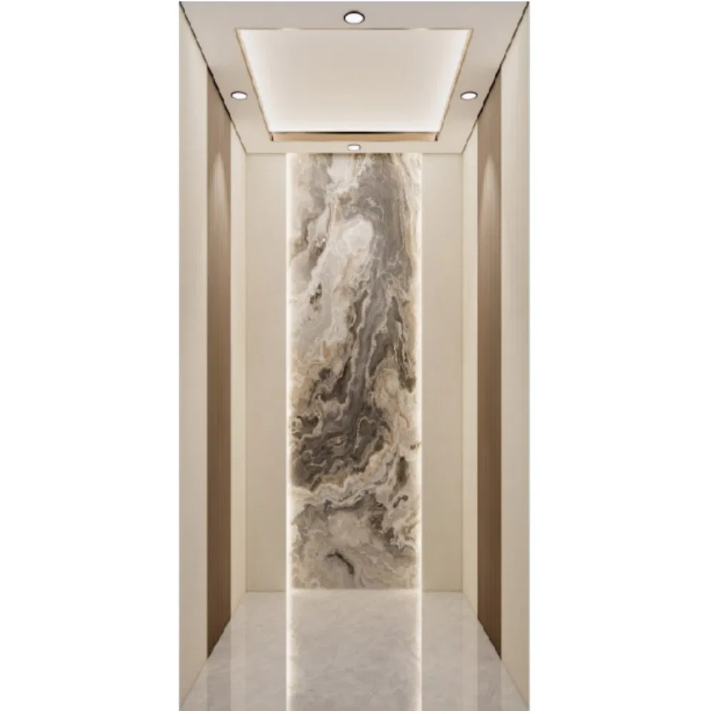 Custom Indoor Residential Lift Elevator 5 Persons Traction Driven Elevator Home Elevator