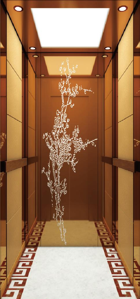 6 People Retro Design Passenger Elevator with Professional Service